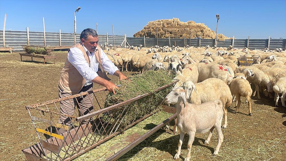 Konya Ovası Projesi (KOP) Bölge Kalkınma İdaresi Başkanlığının "Portatif Çadır
