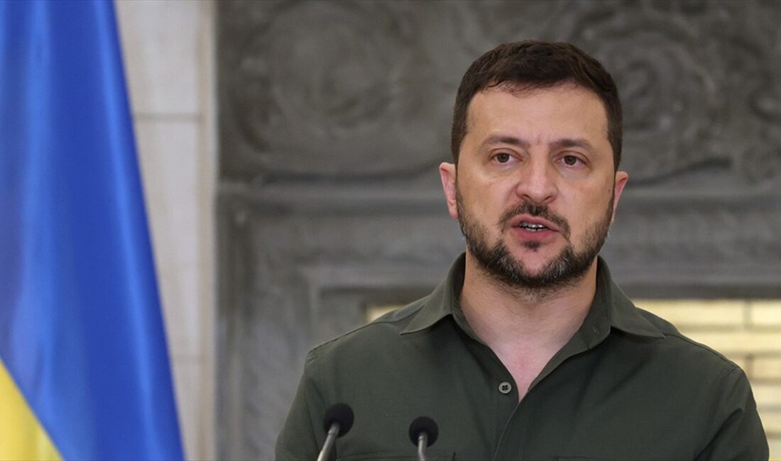 Ukrayna Devlet Başkanı Volodimir Zelenskiy, İngiltere Dışişleri Bakanı David Cameron