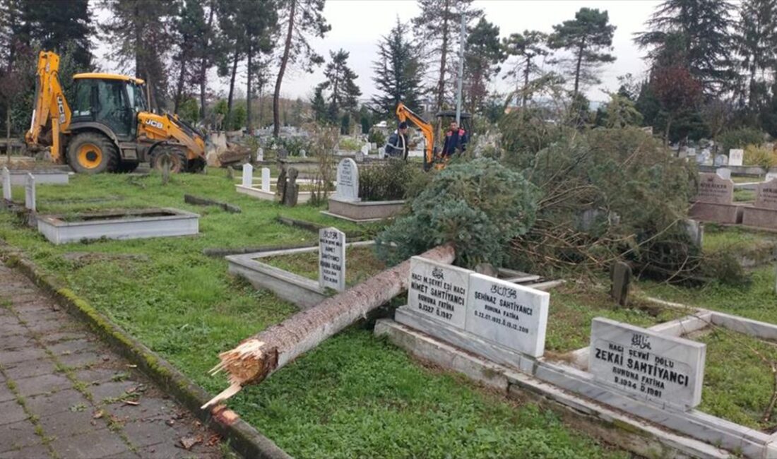 Zonguldak'ın Karadeniz Ereğli ilçesi ile Düzce'de fırtınada devrilen ağaçların mezarlara