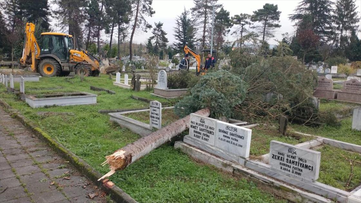 Zonguldak'ın Karadeniz Ereğli ilçesi ile Düzce'de fırtınada devrilen ağaçların mezarlara