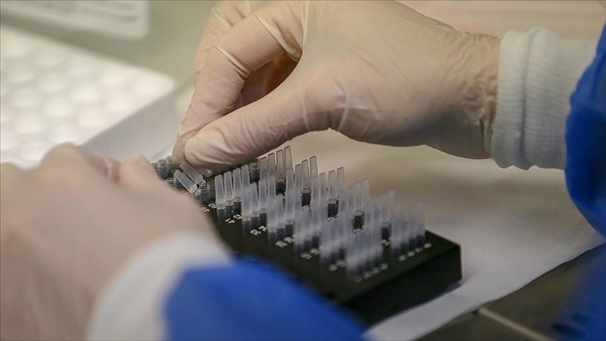 ABD'nin California eyaleti merkezli "23andMe" genetik araştırma şirketi, ekim ayında