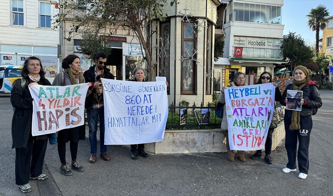 Adaların Atları Platformu atların sağlıklı koşullarda barındırılmasını istiyor Adaların Atları Platformu üyeleri, Adalar'dan farklı bölgelerdeki barınaklara gönderilen atların