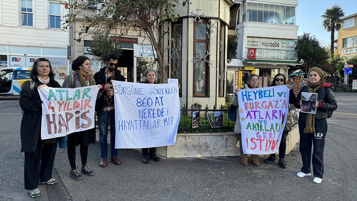 Adaların Atları Platformu üyeleri, Adalar'dan farklı bölgelerdeki barınaklara gönderilen atların