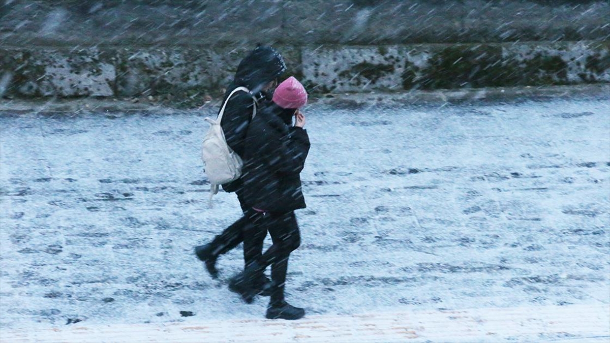 Ağrı ve Kars'ta kar yağışı etkili oluyor.