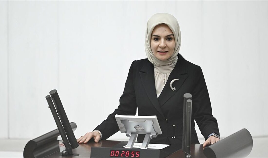 TBMM (AA) – Göktaş, Bakanlığının 2024 yılı bütçesi üzerine Genel