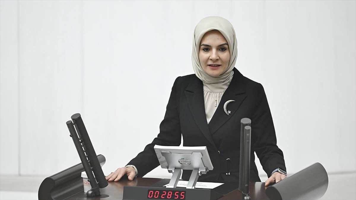 TBMM (AA) – Göktaş, Bakanlığının 2024 yılı bütçesi üzerine Genel