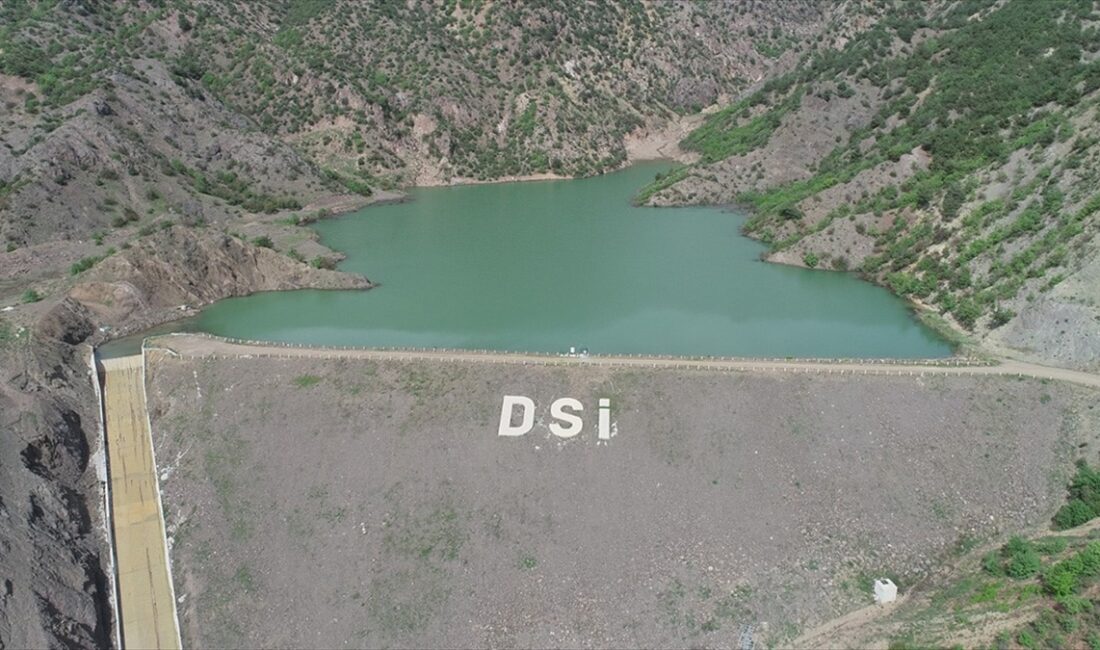 AMASYA (AA) – Devlet Su İşleri (DSİ) 73. Amasya Şube