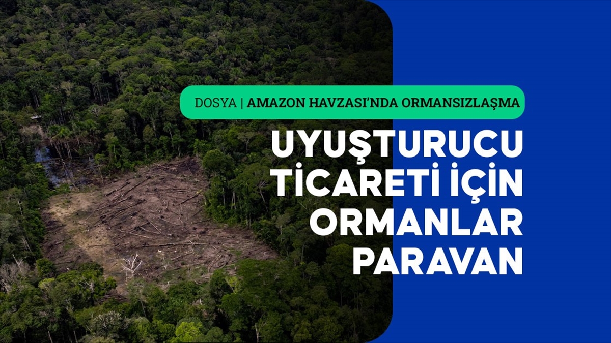 ANKARA (AA) – AA’nın “Amazon Havzası’ndaki uyuşturucu kaçakçılığının ormansızlaşmayla ilişkisini”