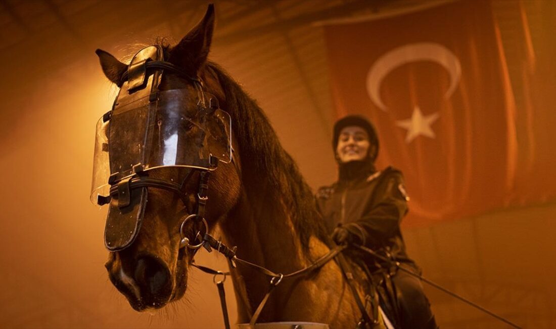 Ankara Emniyet Müdürlüğü bünyesinde, Türkiye'nin birçok ilinde görev yapan atlı