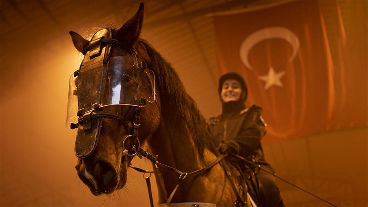 Ankara Emniyet Müdürlüğü bünyesinde, Türkiye'nin birçok ilinde görev yapan atlı