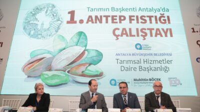 ANTALYA (AA) – Antalya'da alternatif ürün üretimini desteklemek amacıyla "Tarımın