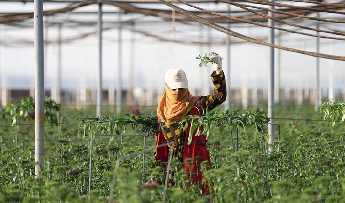 Antalya Ticaret Borsasının (ATB) geliştirdiği tarım alanlarında karbon ayak izini