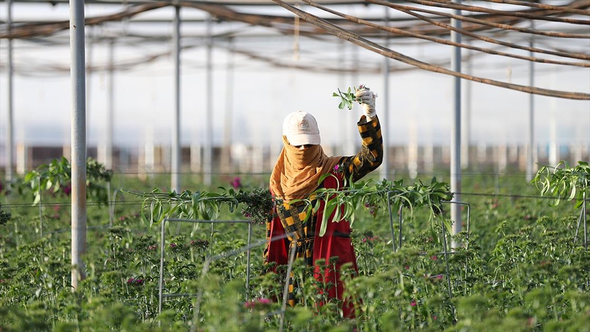 Antalya Ticaret Borsasının (ATB) geliştirdiği tarım alanlarında karbon ayak izini
