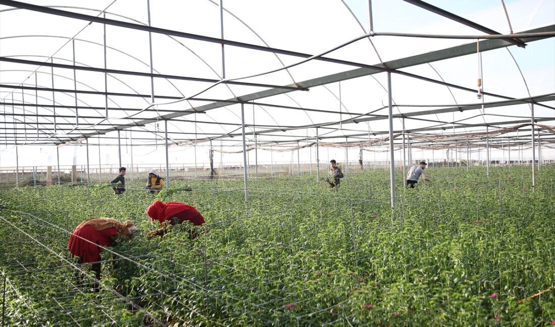 ANTALYA (AA) – HATİCE ÖZDEMİR TOSUN – Antalya Ticaret Borsasının