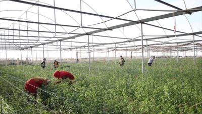 ANTALYA (AA) – HATİCE ÖZDEMİR TOSUN – Antalya Ticaret Borsasının