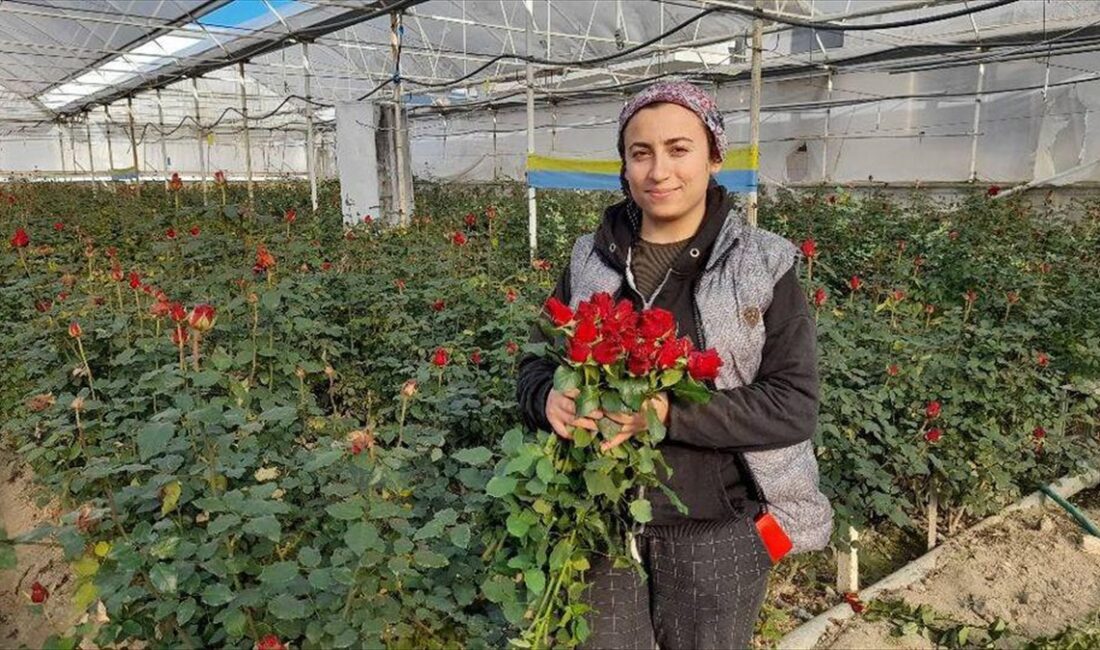 ANTALYA (AA) – Elmalı İlçe Tarım ve Orman Müdürü Dilek