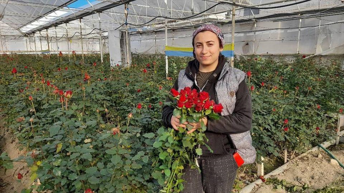ANTALYA (AA) – Elmalı İlçe Tarım ve Orman Müdürü Dilek