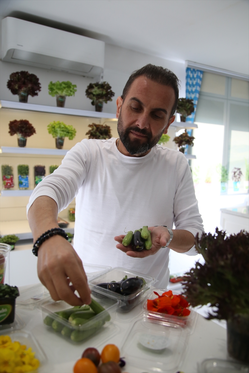 Antalya'da üretilen mini sebze ve yenilebilir çiçeklere yılbaşı dolayısıyla talep arttı