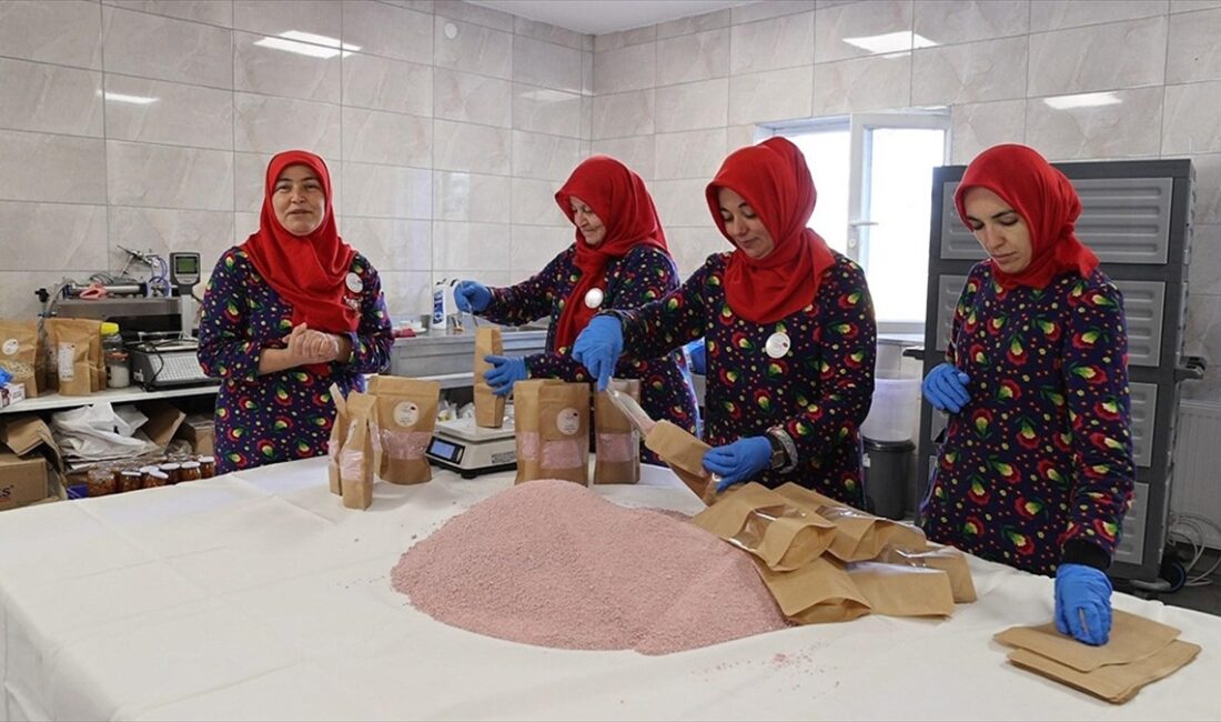 Tarım ve Orman Bakanı İbrahim Yumaklı, "2020'den bu yana kadın