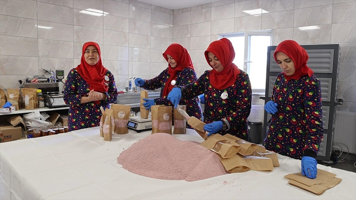 Tarım ve Orman Bakanı İbrahim Yumaklı, "2020'den bu yana kadın