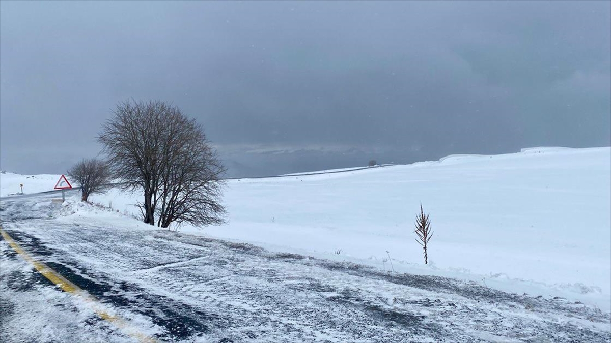 Ardahan'da etkili olan kar ve sis ulaşımda aksamalara neden oluyor.