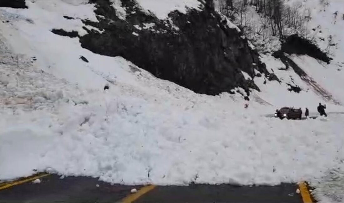 Artvin'de, Borçka-Camili kara yolu çığ sebebiyle ulaşıma kapandı.