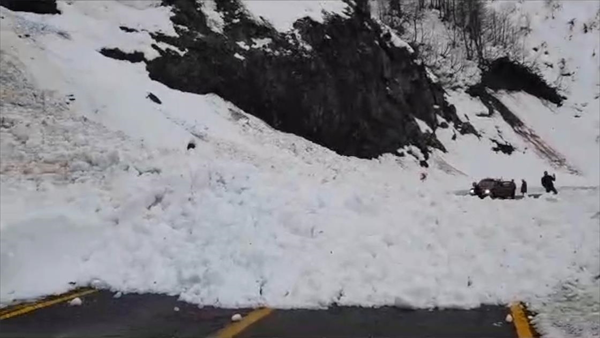 Artvin'de, Borçka-Camili kara yolu çığ sebebiyle ulaşıma kapandı.