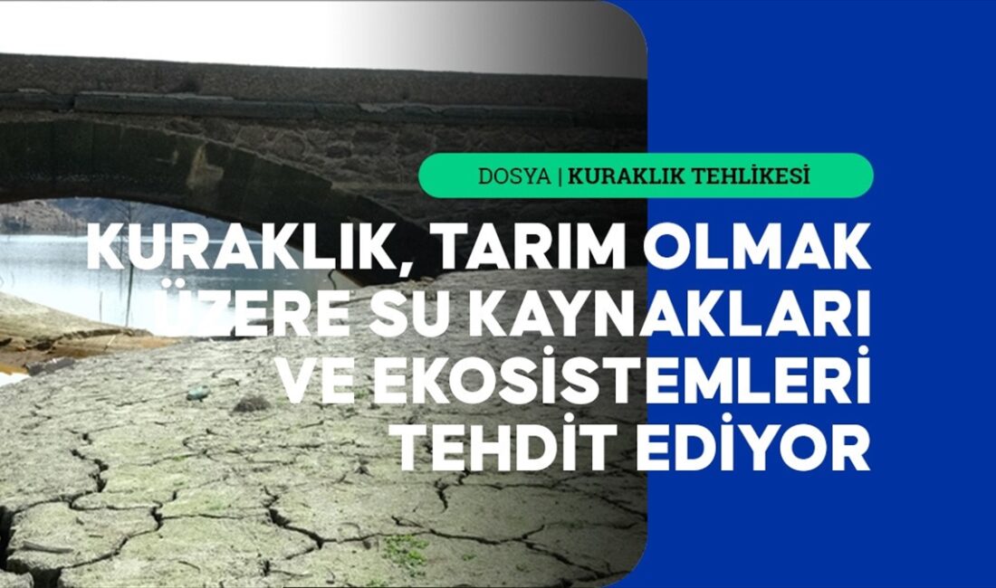 Avrupa'da derinleşen kuraklık birçok sektörü tehdit ediyor İstanbul Teknik Üniversitesi Meteoroloji Mühendisliği Bölümü Öğretim Üyesi Prof. Dr.