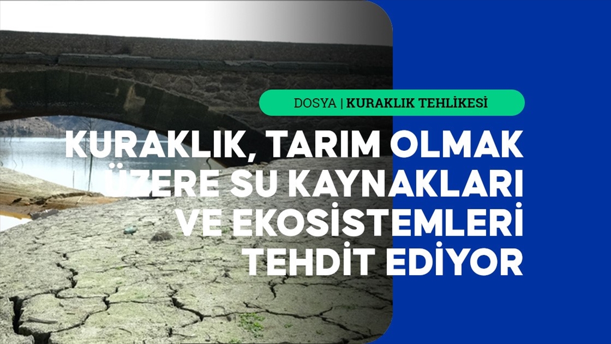 İstanbul Teknik Üniversitesi Meteoroloji Mühendisliği Bölümü Öğretim Üyesi Prof. Dr.