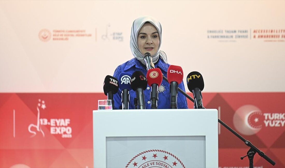 Bakan Göktaş: 2002'de kamuda çalışan engelli sayısı yaklaşık 5 binken bugün bu sayıyı 68 bine ulaştırdık Aile ve Sosyal Hizmetler Bakanı Göktaş, "2012'de dünyada bir ilki