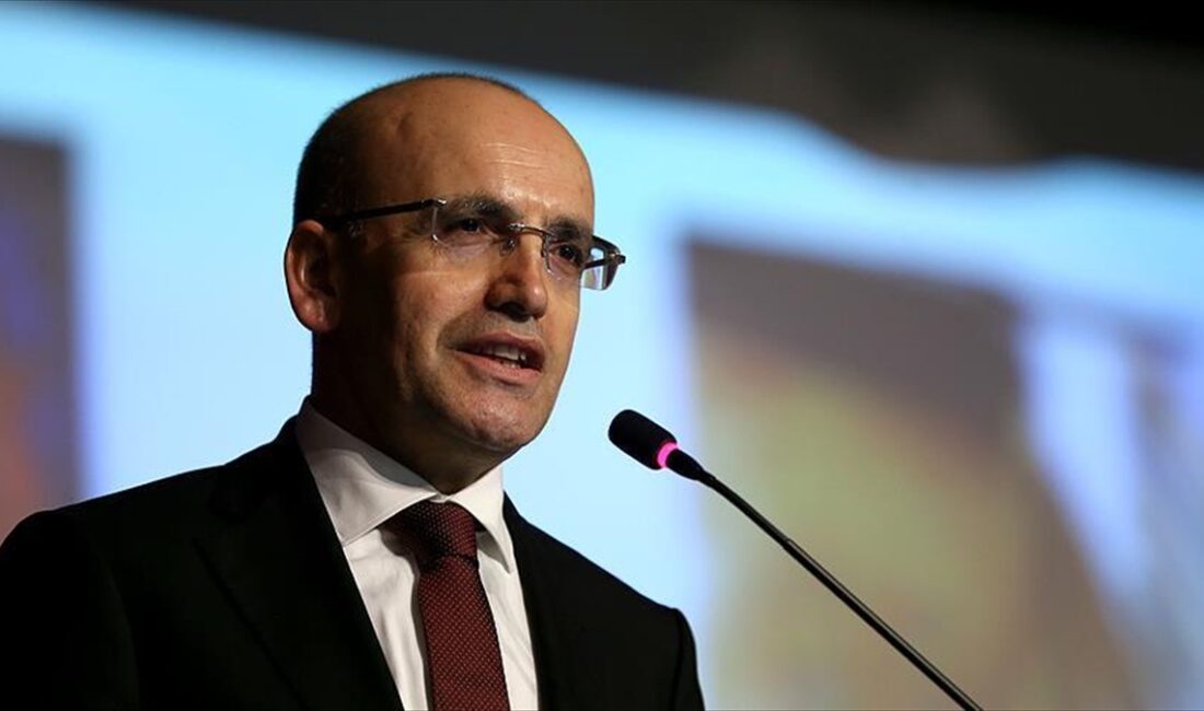 Hazine ve Maliye Bakanı Mehmet Şimşek, 2024'ün sürdürülebilir yüksek büyümenin