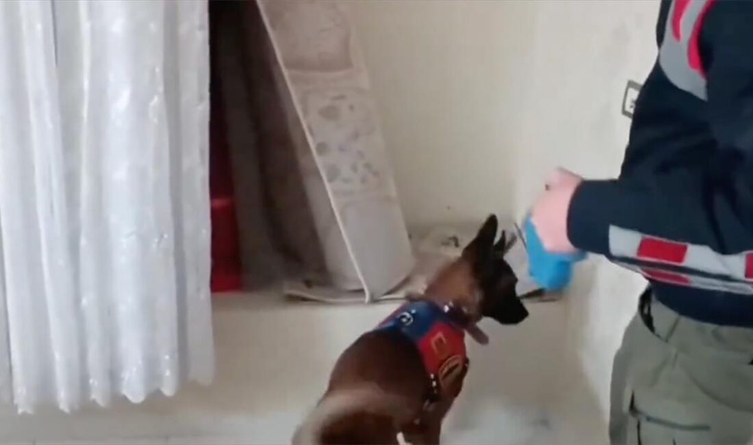 İçişleri Bakanı Ali Yerlikaya, uyuşturucu madde imal eden ve satan