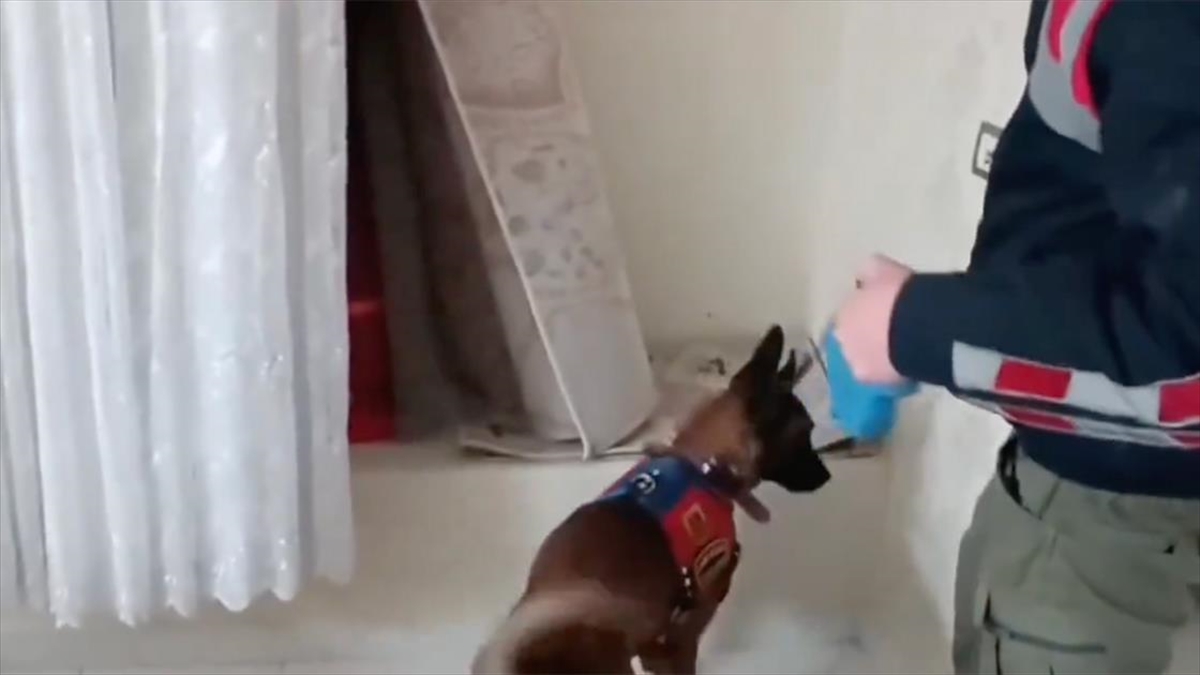 İçişleri Bakanı Ali Yerlikaya, uyuşturucu madde imal eden ve satan