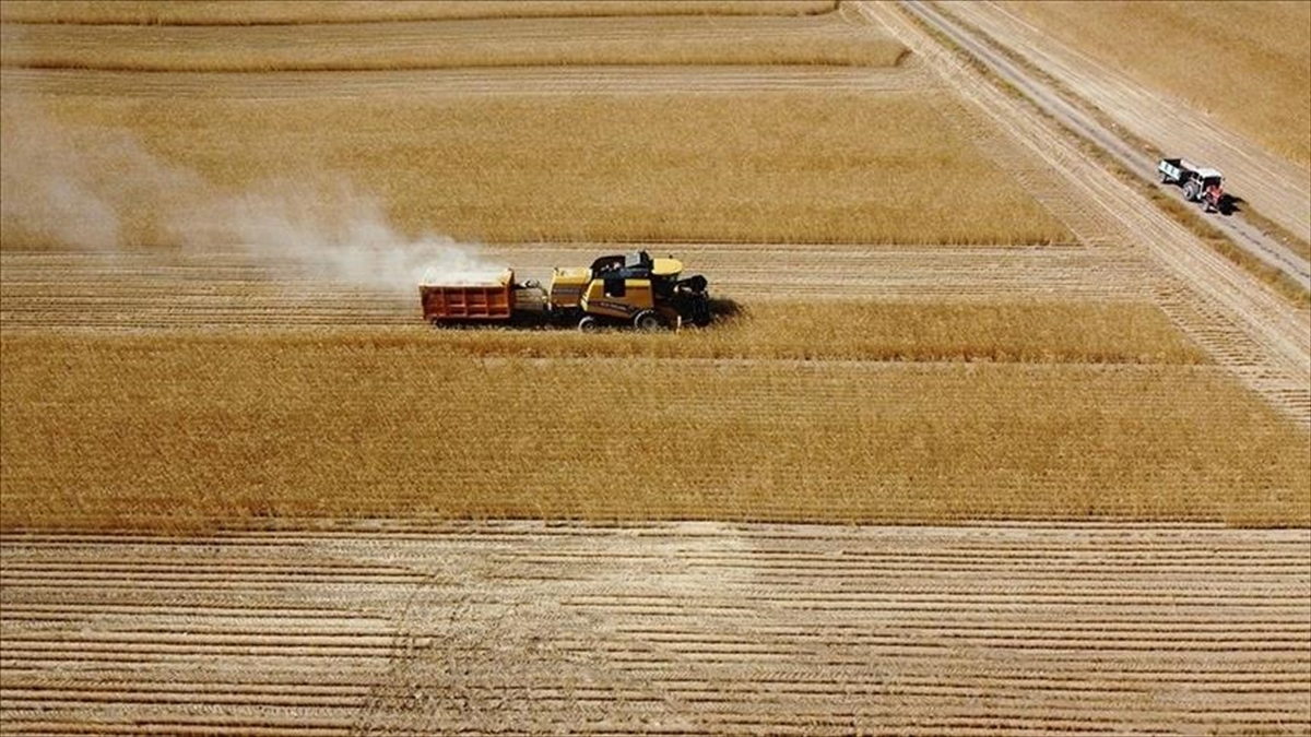 Tarım ve Orman Bakanı İbrahim Yumaklı, 1 milyar 172 milyon