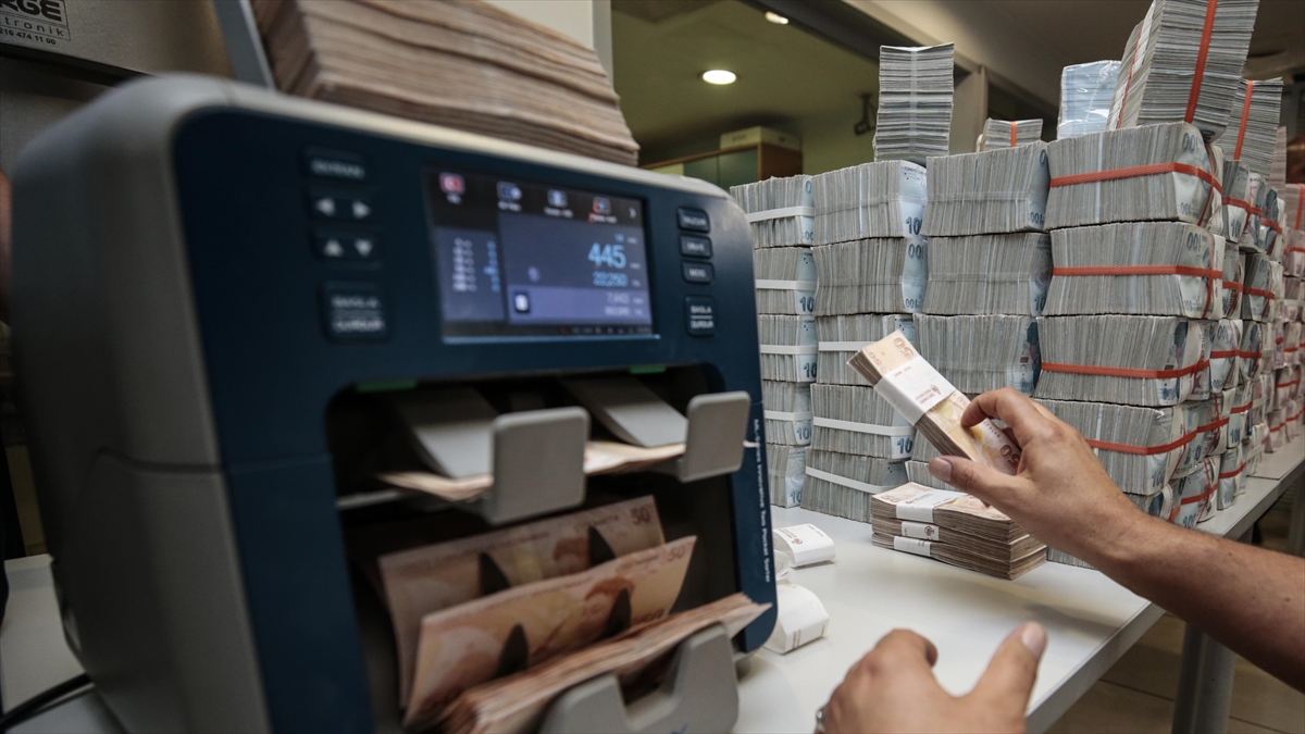 Bankacılık Düzenleme ve Denetleme Kurumu (BDDK) verilerine göre, Türk bankacılık