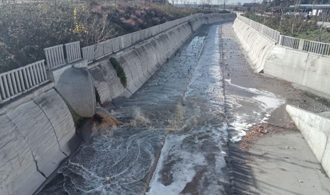 İSTANBUL (AA) – Kavaklı Mahallesi’ndeki Kavaklıdere’de kanalizasyon akıntısı nedeniyle kirlilik