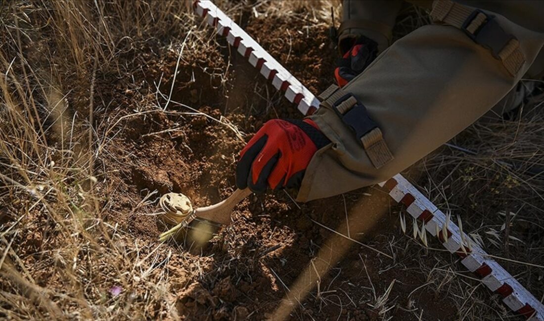Türkiye, Birleşmiş Milletler Kalkınma Programı'nın mayın temizleme faaliyetlerini ve ulusal