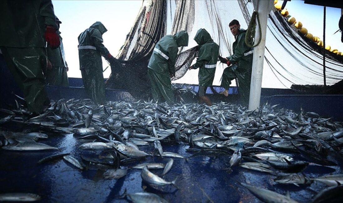 Birleşmiş Milletler (BM) Gıda ve Tarım Örgütüne (FAO) bağlı Akdeniz