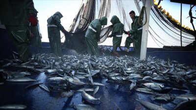 Birleşmiş Milletler (BM) Gıda ve Tarım Örgütüne (FAO) bağlı Akdeniz