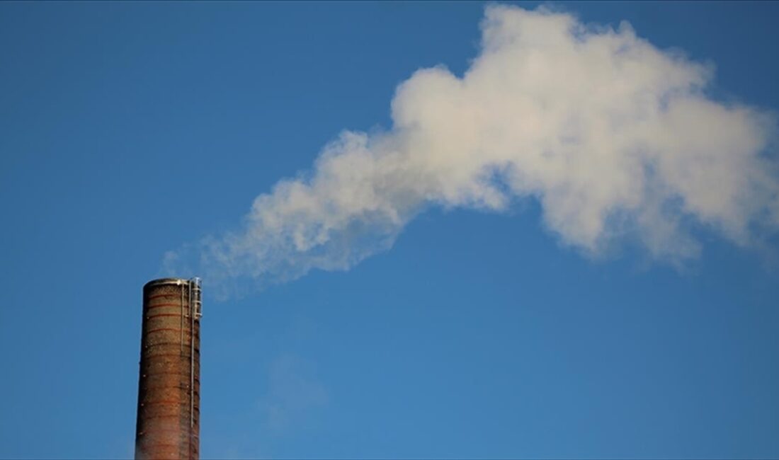 Birleşmiş Milletler Çevre Programı (UNEP) İcra Direktörü Inger Andersen, geçen