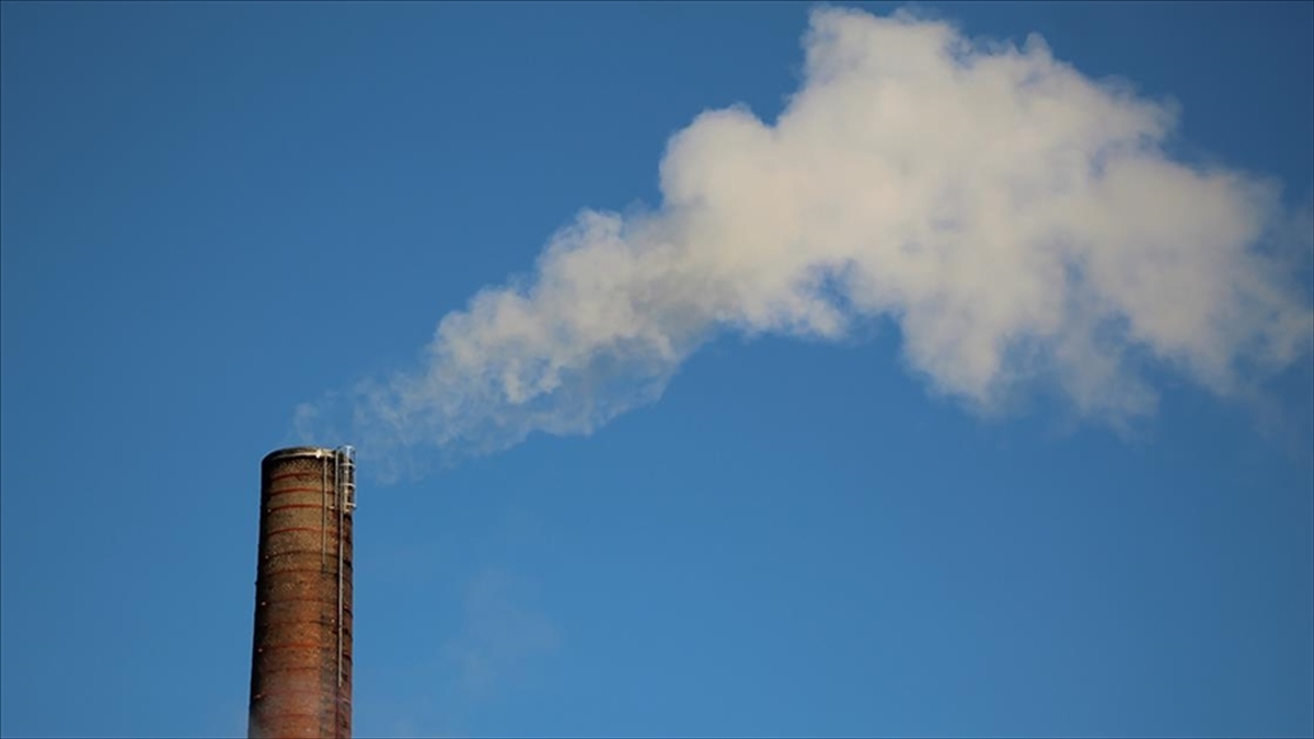 Birleşmiş Milletler Çevre Programı (UNEP) İcra Direktörü Inger Andersen, geçen