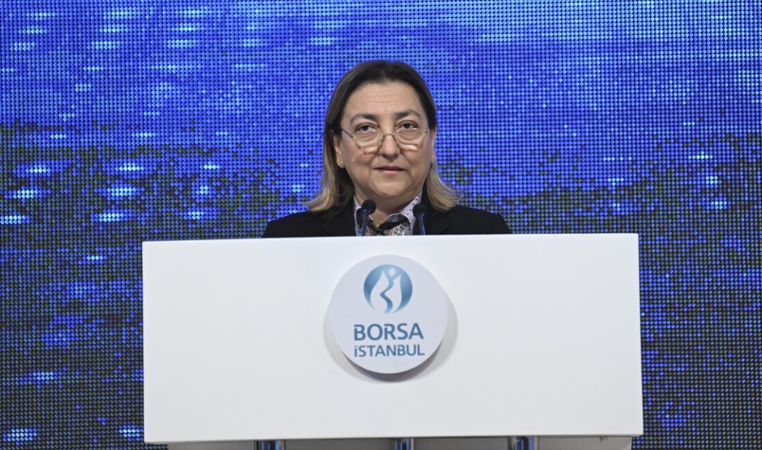 Borsa İstanbul AŞ Yönetim Kurulu Başkanı Prof. Dr. Erişah Arıcan,