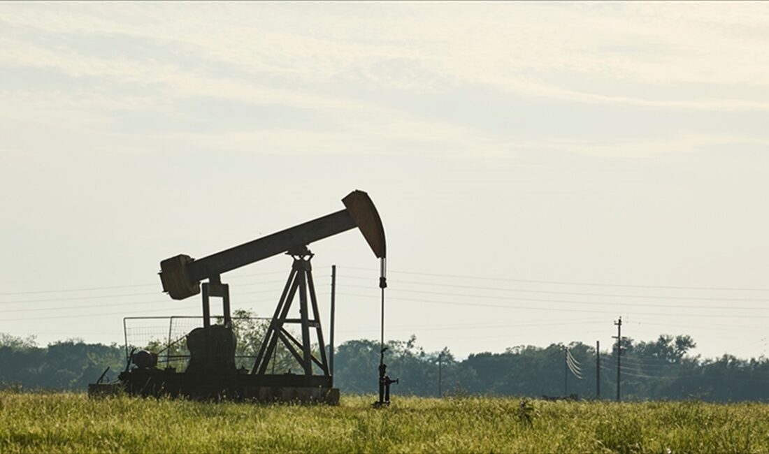 Facts Global Energy Enerji Dönüşümü ve Enerji Ekonomisi Direktörü Kazokoğlu,