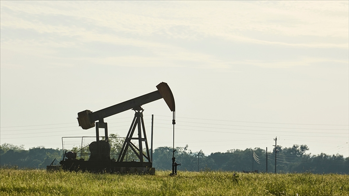 Facts Global Energy Enerji Dönüşümü ve Enerji Ekonomisi Direktörü Kazokoğlu,