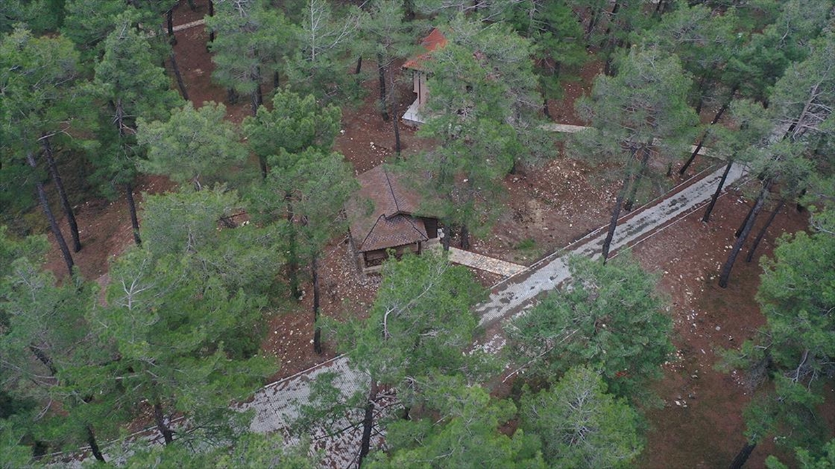 Bursa'nın dağ ilçelerinden Orhaneli'nde geçen yaz hizmete giren Beyce Doğal