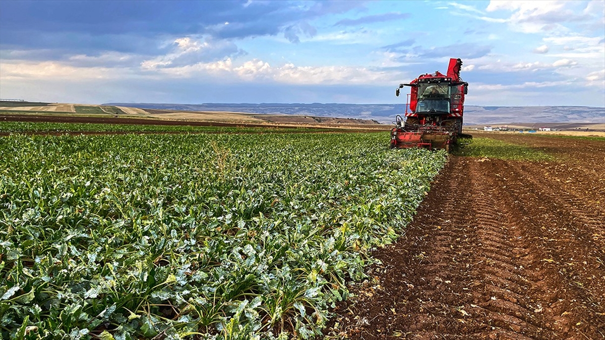 Üreticilere ait tarımsal faaliyetlerin ülke genelinde kayıt altına alınması ve