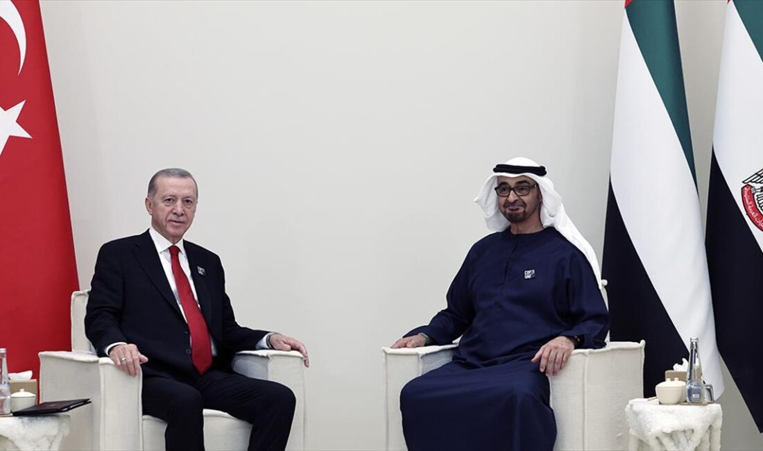 Cumhurbaşkanı Recep Tayyip Erdoğan, Birleşik Arap Emirlikleri (BAE) Devlet Başkanı