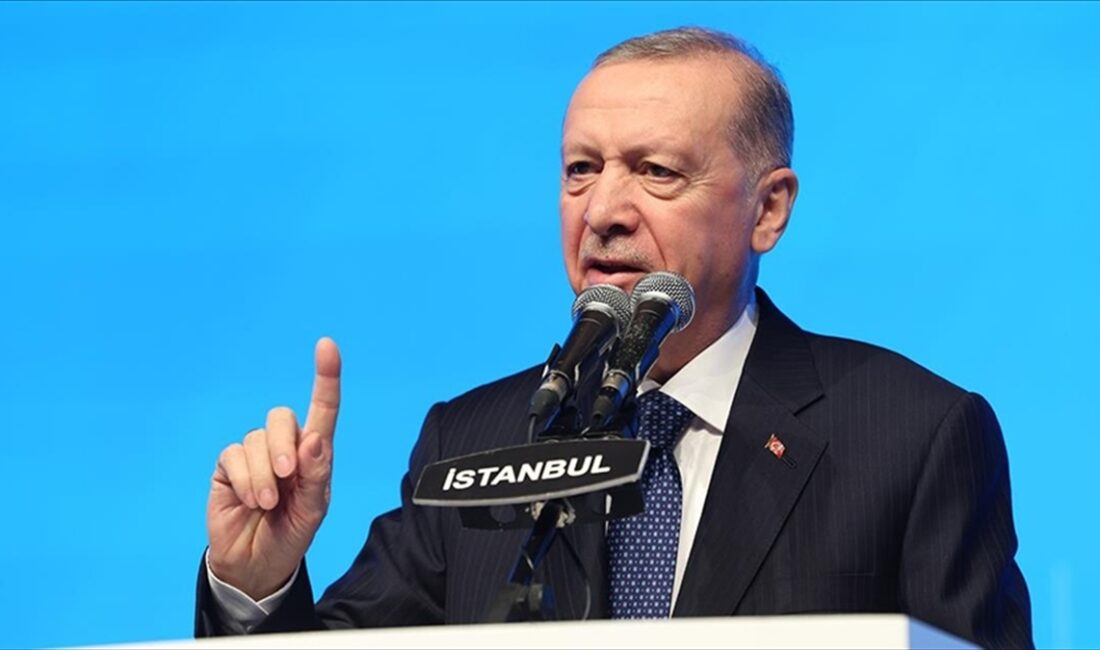 Cumhurbaşkanı Recep Tayyip Erdoğan, "Bugün Birleşmiş Milletler İnsan Hakları Evrensel