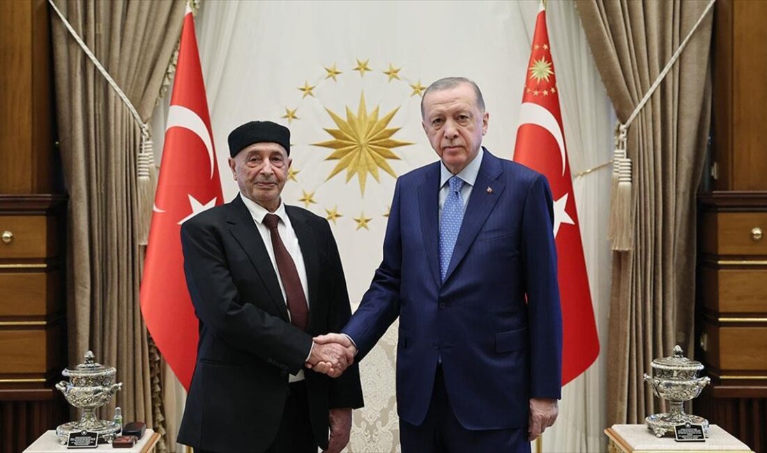Cumhurbaşkanı Erdoğan, Libya Temsilciler Meclisi Başkanı Salih'i kabul etti Cumhurbaşkanı Recep Tayyip Erdoğan, Libya Temsilciler Meclisi Başkanı Akile Salih'i