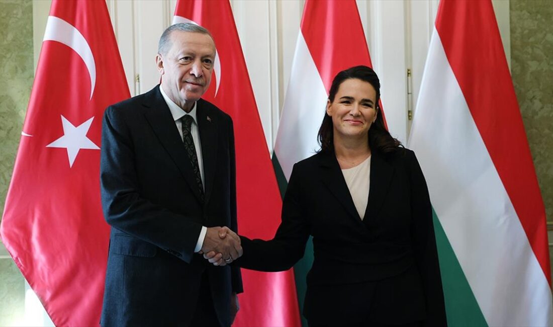 Cumhurbaşkanı Recep Tayyip Erdoğan, resmi temaslarda bulunmak üzere geldiği Macaristan'ın